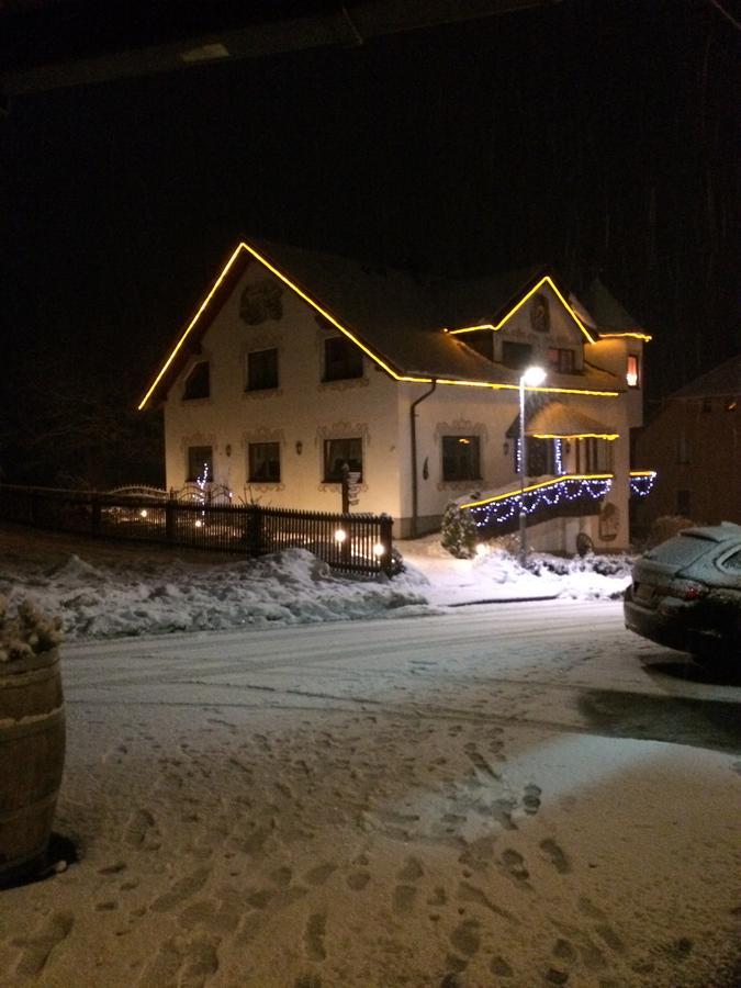 Hotel Alpenhof Markneukirchen Екстер'єр фото